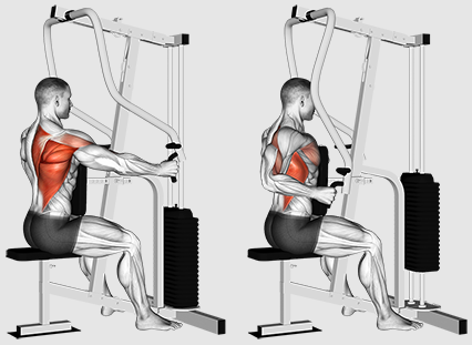 Měli bychom se zaměřit na řádky nebo tahy pro lepší trénink zad?