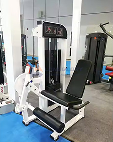 Gym Equipment Prone Leg Curl